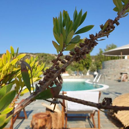 Anassa Cycladic Village Galissas Zewnętrze zdjęcie