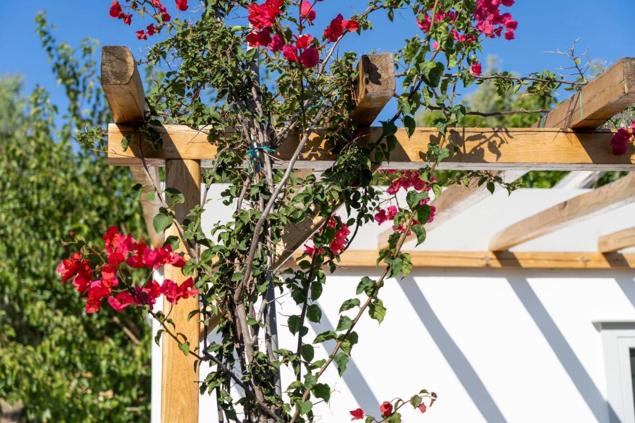Anassa Cycladic Village Galissas Zewnętrze zdjęcie