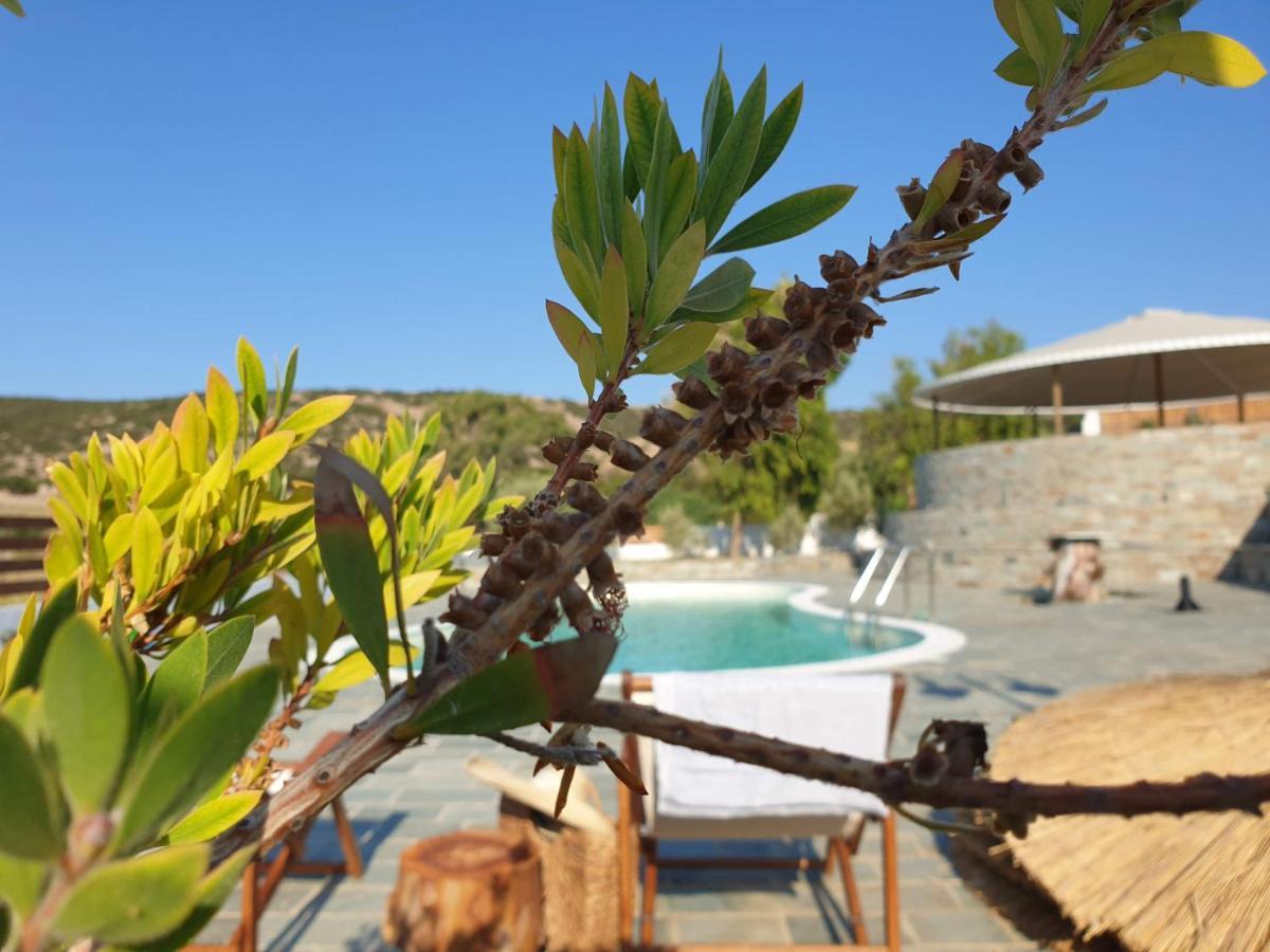 Anassa Cycladic Village Galissas Zewnętrze zdjęcie